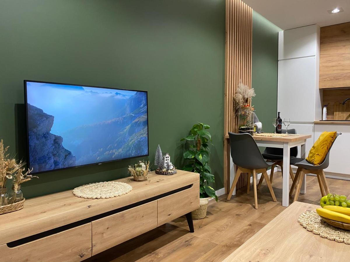 Park Apartment Przemysl